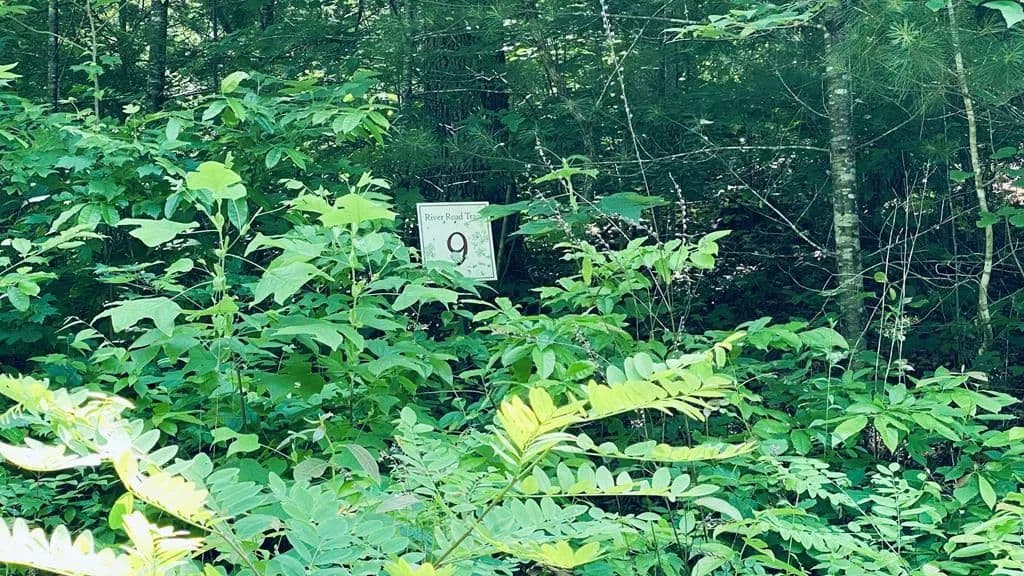 Property from Lot 9 River Road Trace - KW - Franklin, North Carolina, 27516