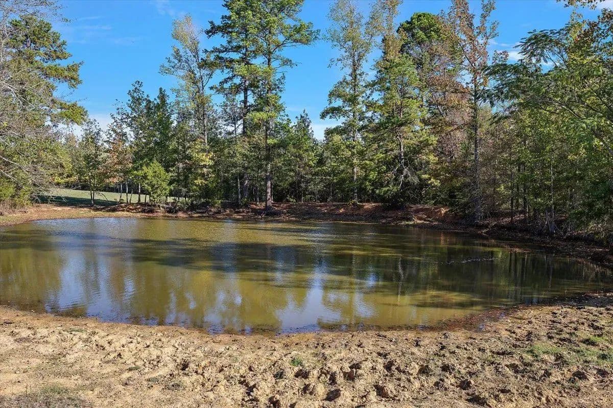 31 Acres | County Road 1601 - Avinger, Texas, 75630