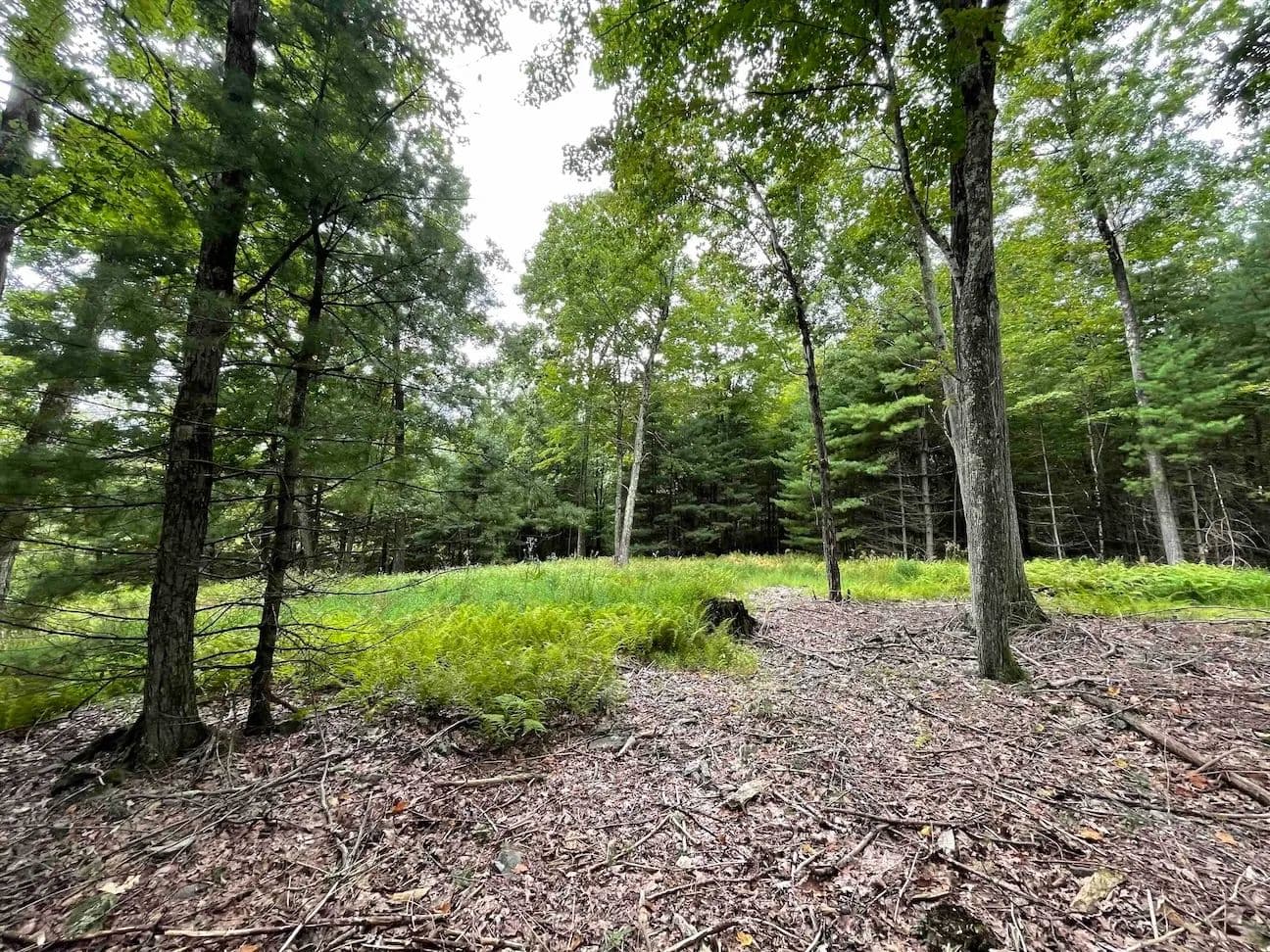 10 acre Building Site in Ellenville NY Oak Ridge Rd - Ellenville, New York, 12428