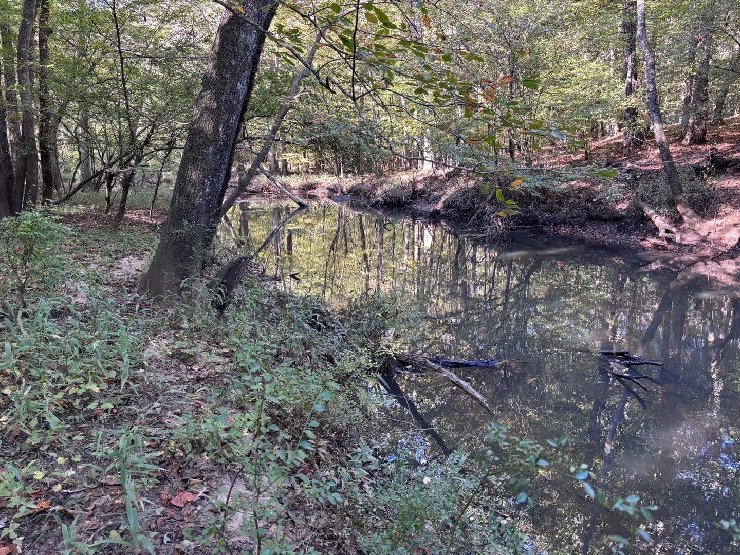 Sweetwater Creek Tract - Douglasville, Georgia, 30134