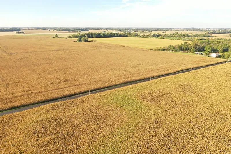 James Edward Trout, Julie Ann Trout, Erica A. Szczepanski, and Mark A. Yaeger - J, Myers