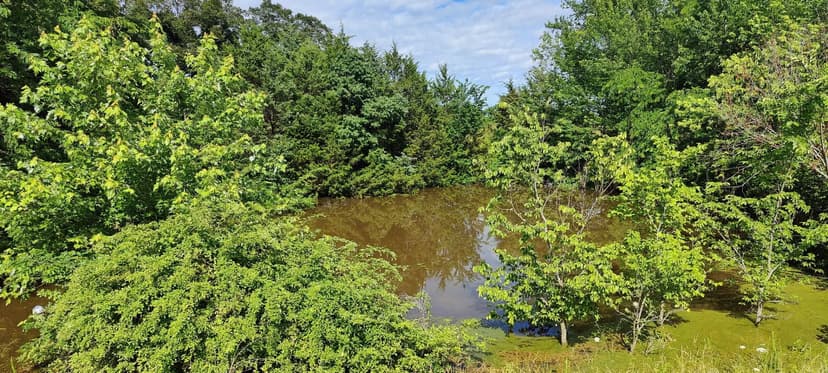 19.24 Acres in Webster County, MO