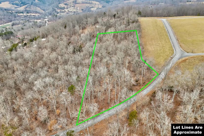 Norris Lake View Lot—1.79 Ac in Rock Harbor