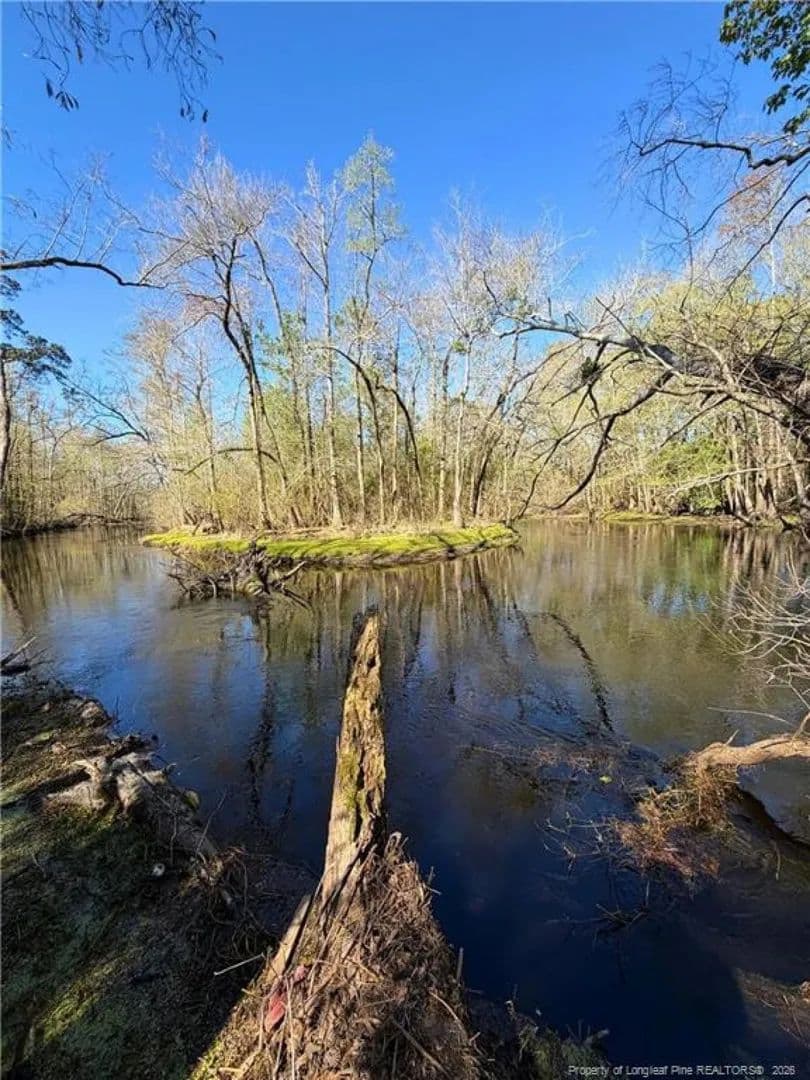 22 Acre Sportsman’s Paradise on the Lumber River