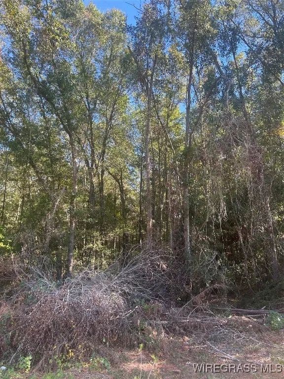 Vacant Land in Ozark