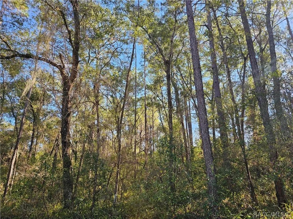Property from 6342 E Glover Street - KW - Inverness, Florida, 34452