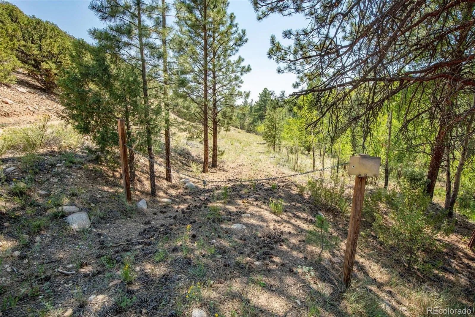 Lots & Land-Other in Salida - Salida, Colorado, 81236