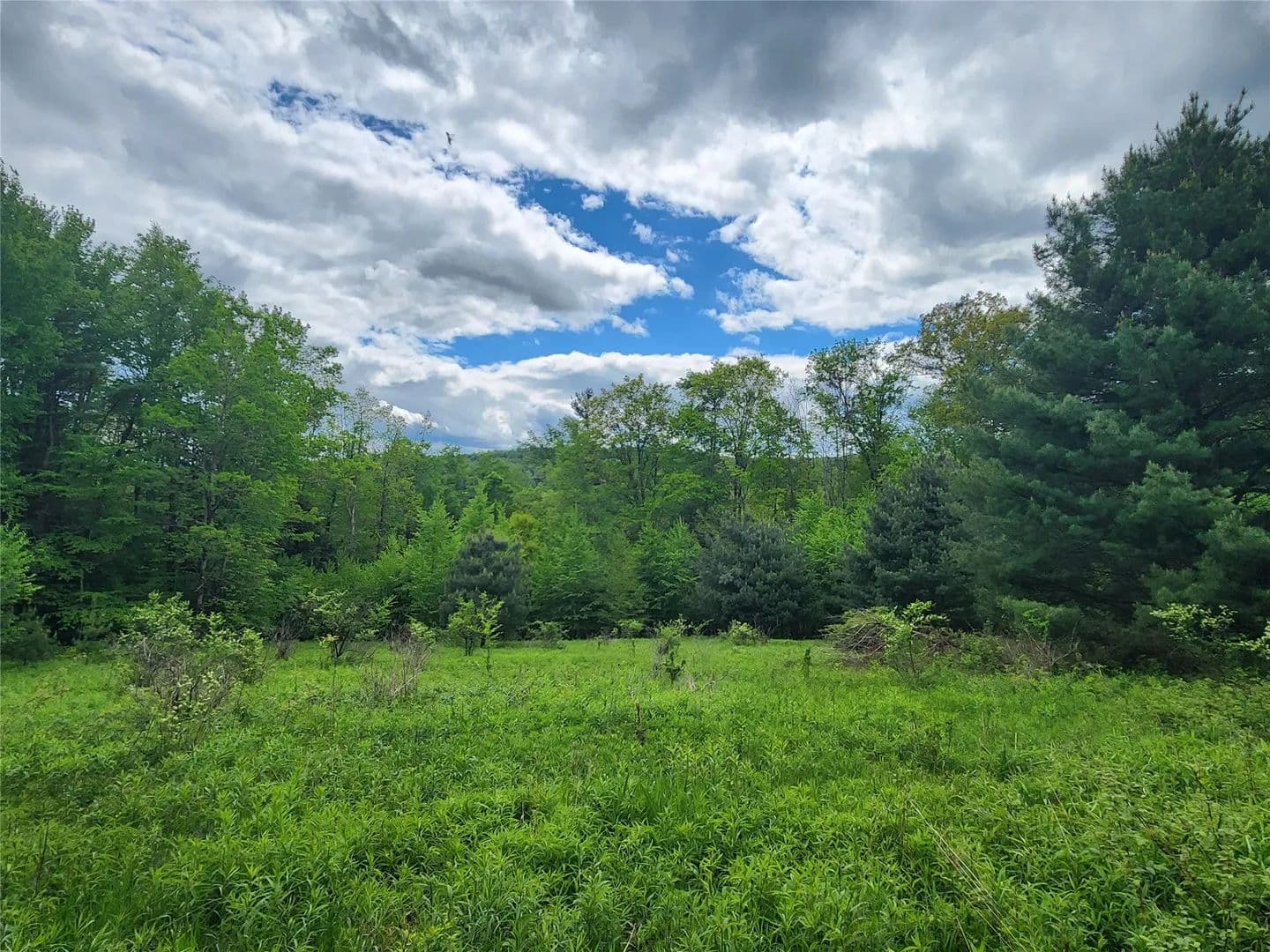 Vacant Land in Greene - Greene, New York, 13778