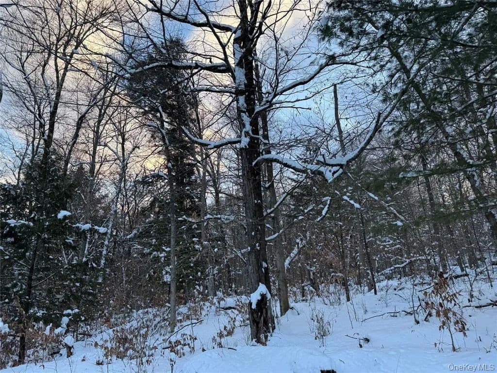 Land -Single Family Acreage in Monticello - Monticello, New York, 12701
