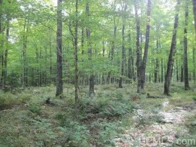 Amasa 108 Recreational Acres 1123522