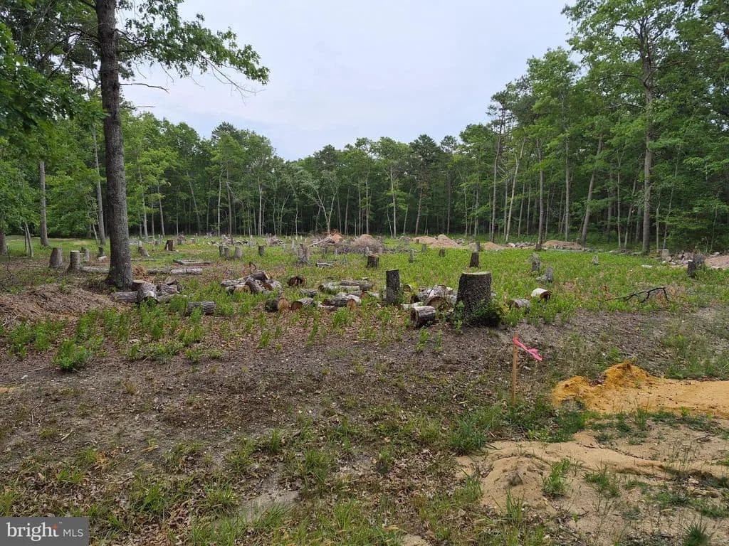 4.86 Acres of Land for Sale in MAYS LANDING, NJ - Mays Landing, New Jersey, 08330