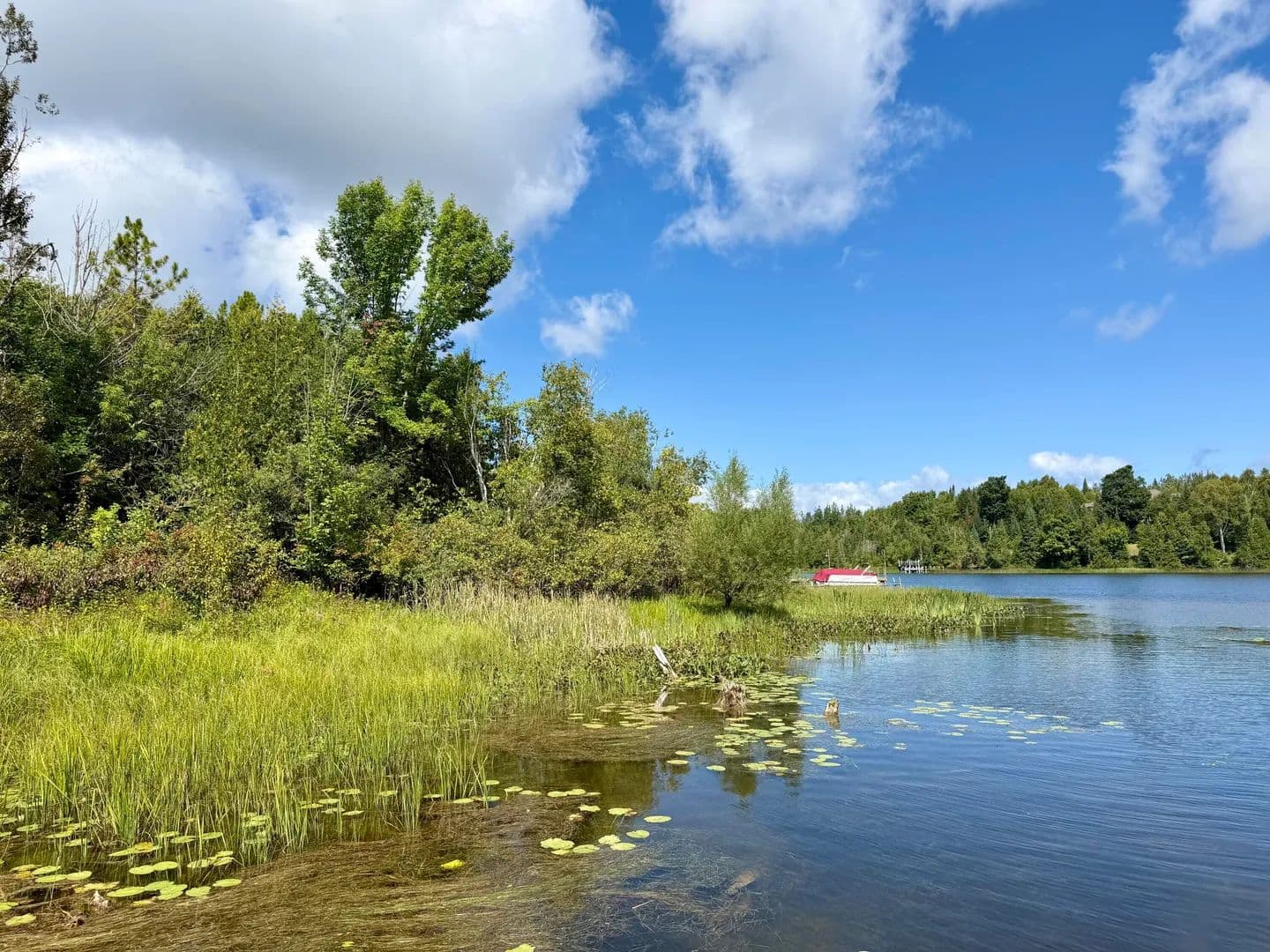 Vacant Land in Cheboygan - land for sale