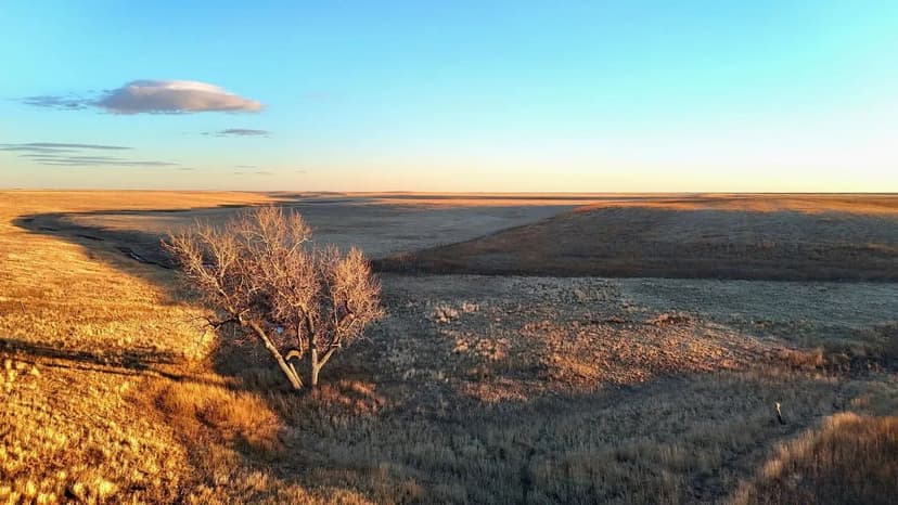 Cropland with Potential Cash Lease & Amazing Recreational Opportunities