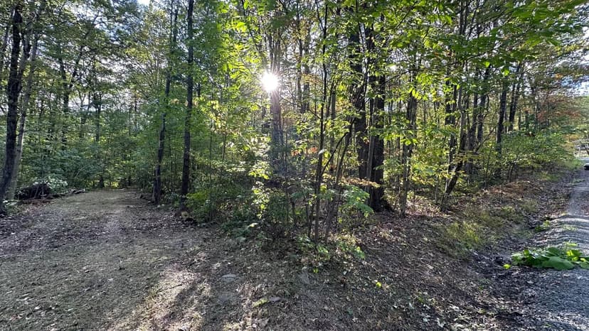 Vacant Land in Waymart