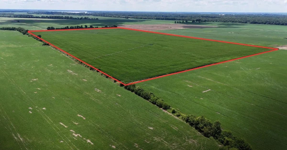 Land -Agricultural (Not Zoned) in Tiptonville - Tiptonville, Tennessee, 38079