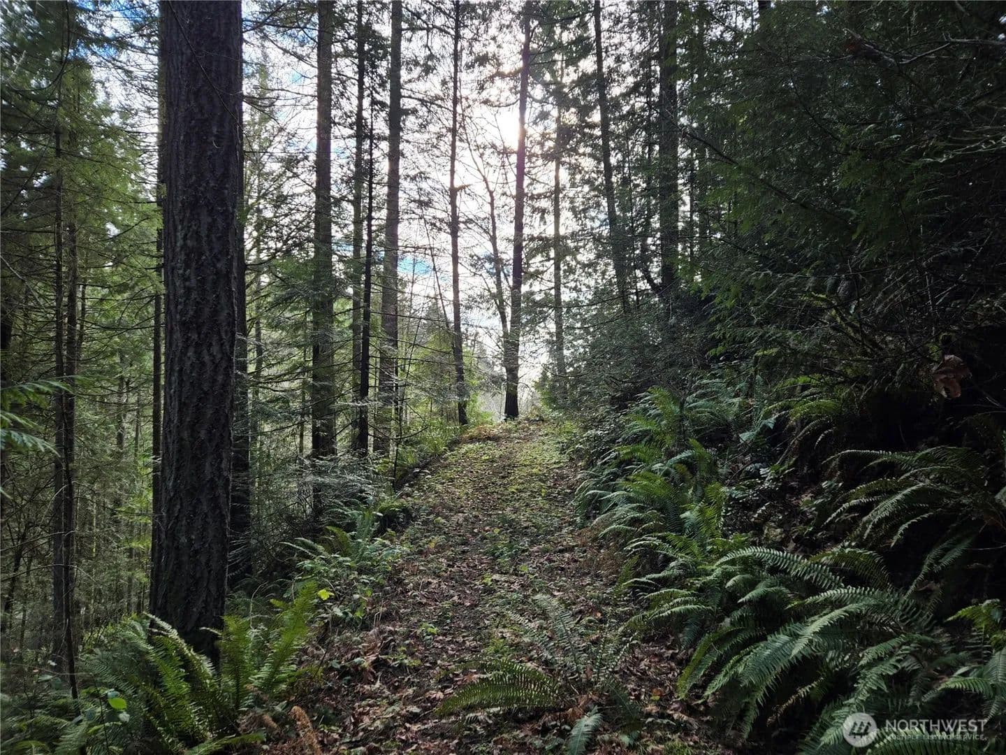 2.47 Acres of Land for Sale in Poulsbo, WA - Poulsbo, Washington, 98370