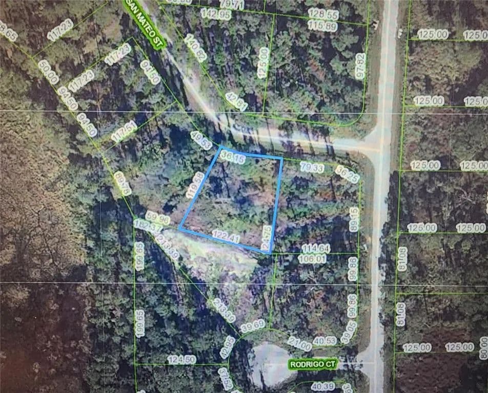 Vacant Land in Sebring - Sebring, Florida, 33872