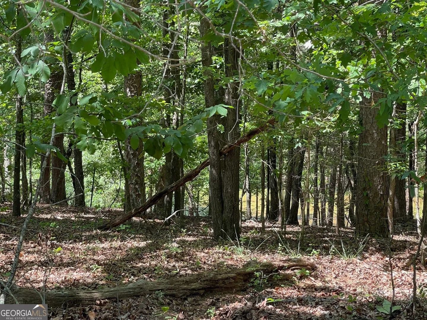 2.7 Acres of Land for Sale in Cave Spring, GA - Cave Spring, Georgia, 30124