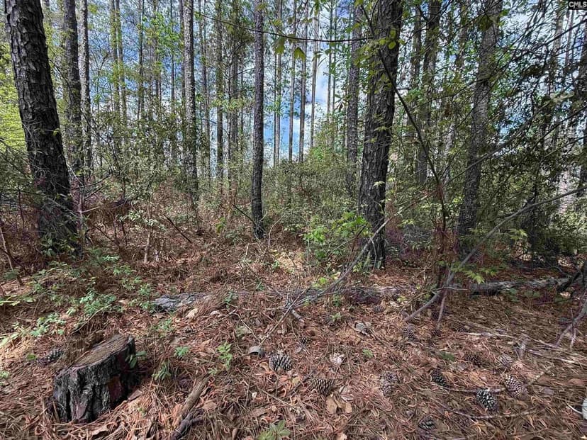 Lots & Land-Other in Blythewood