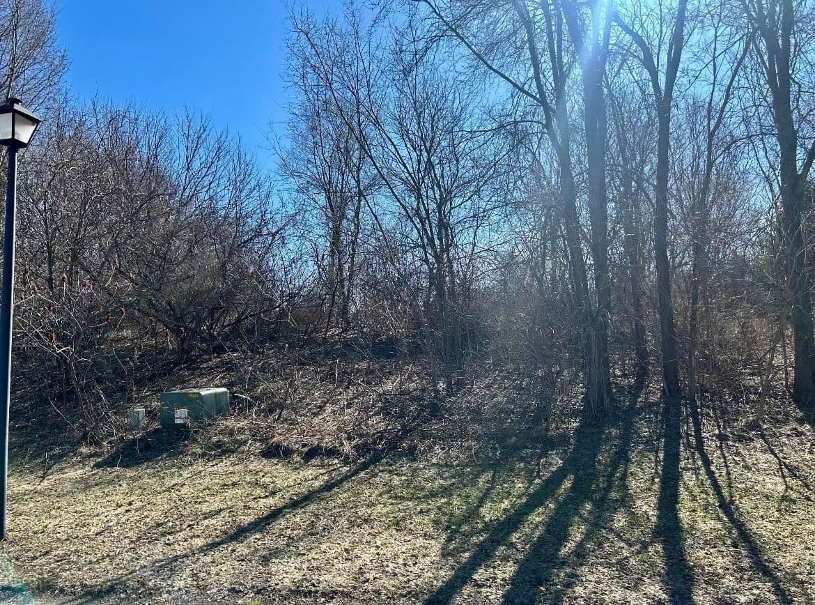 Vacant Land in Berrien Springs - Berrien Springs, Michigan, 49103