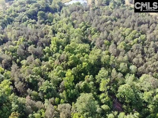 Vacant Land in Prosperity - Prosperity, South Carolina, 29127