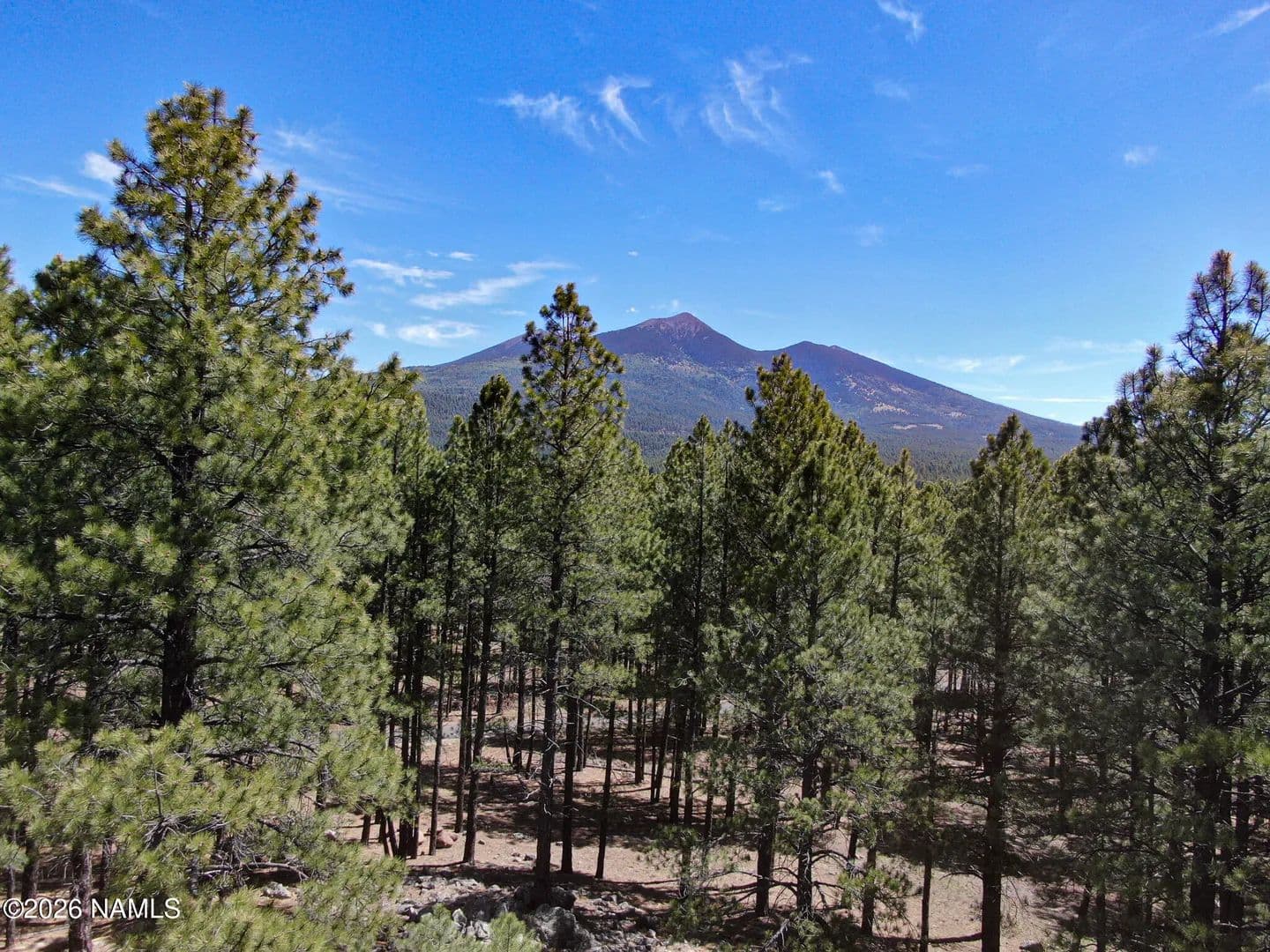 Property from 8252 Vista Peak Way - KW - Flagstaff, Arizona, 86001