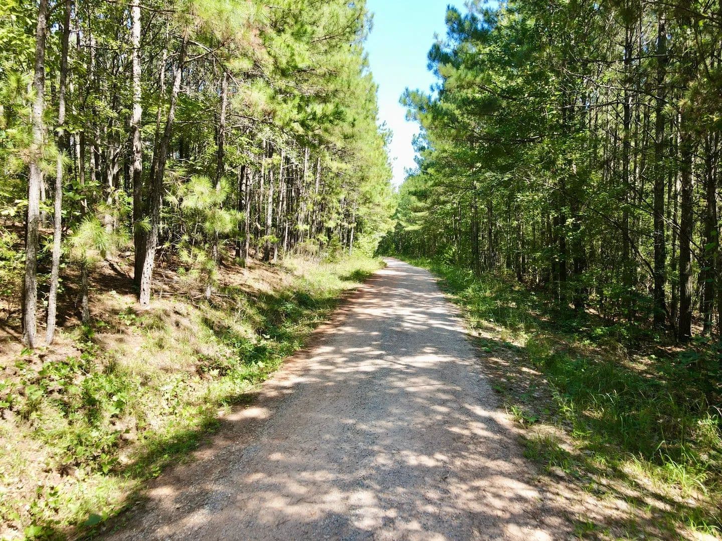 6.18 acres Creek rd. Ashland, AL - Ashland, Alabama, 36251