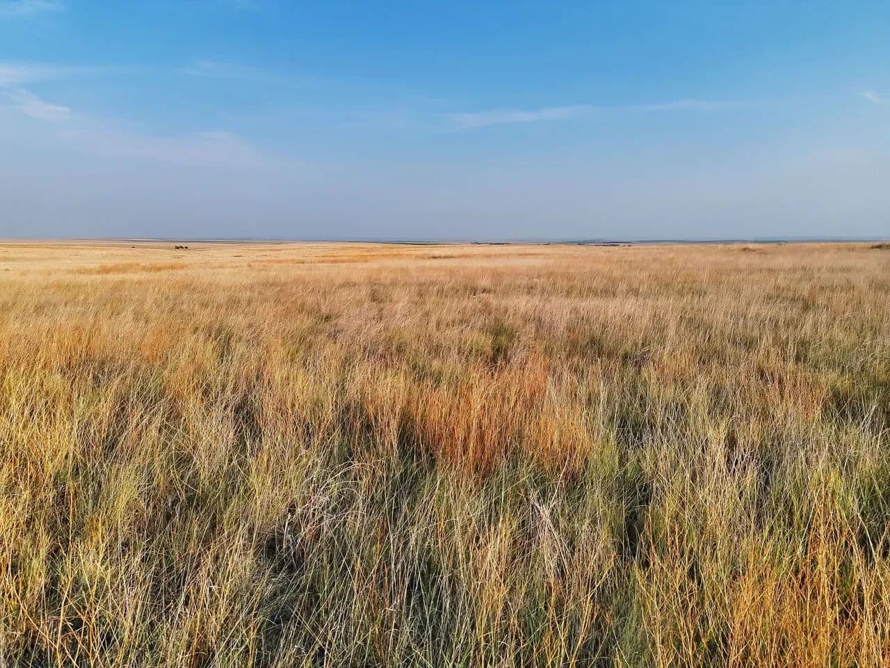 CRP Quarter Section with Mostly Level Class 3e Soils - Sharon Springs, Kansas, 67761