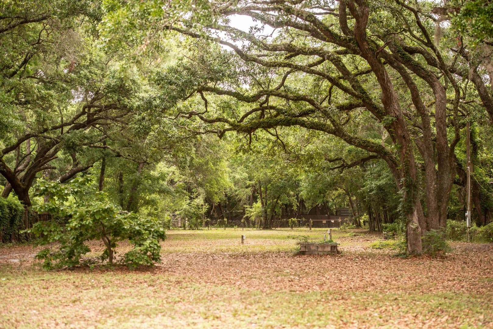 Vacant Land in Freeport - Freeport, Florida, 32439