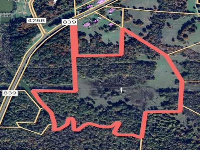 Vacant Land (10+ Acres) in Reklaw - Reklaw, Texas, 75684