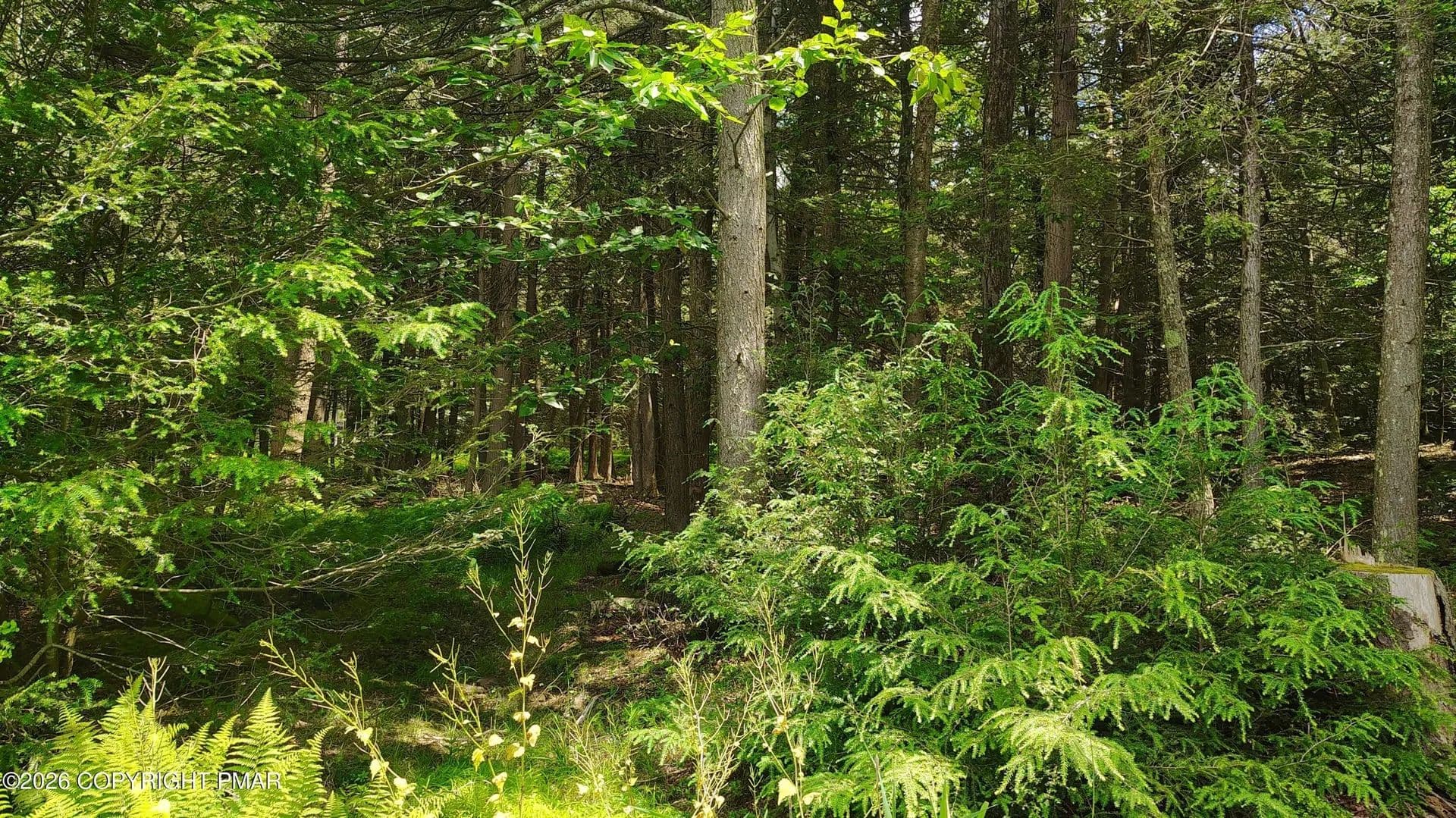 Lots & Land-Other in Tobyhanna - Tobyhanna, Pennsylvania, 18466
