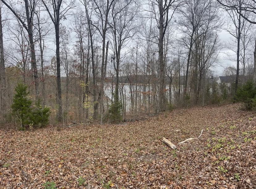 Land -Single Family Acreage in Monticello