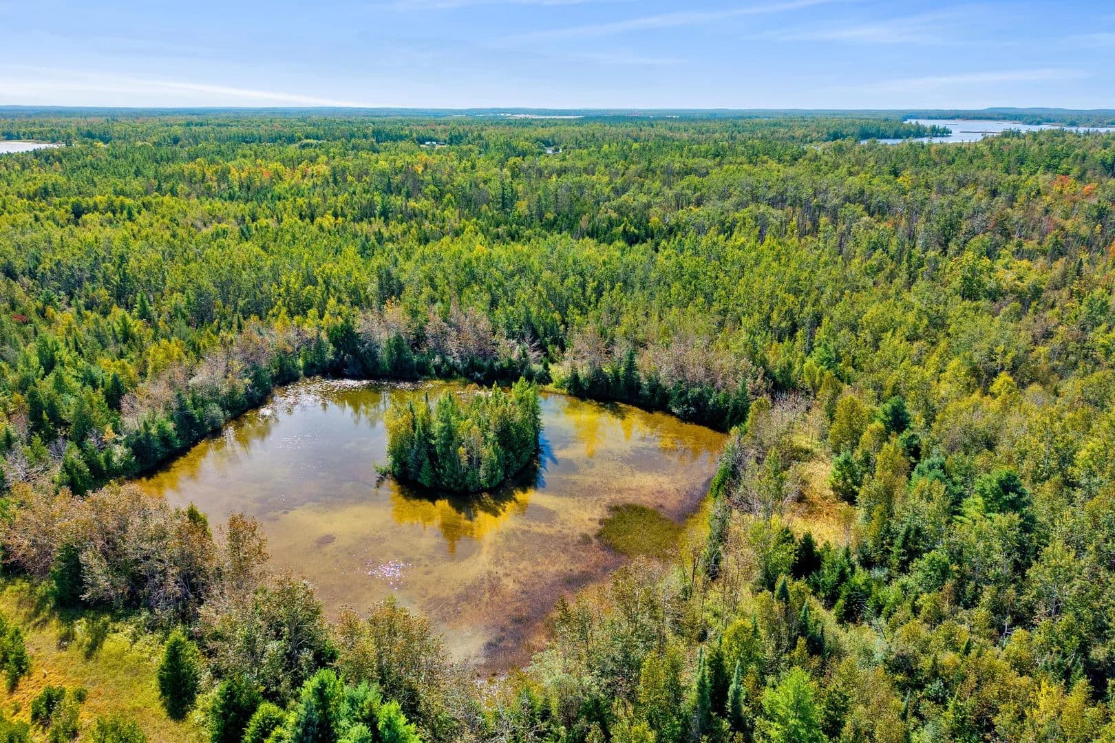 Vacant Land in Alpena - Alpena, Michigan, 49707