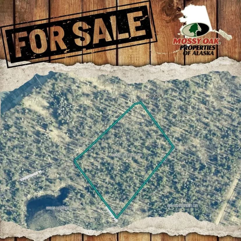 6.1 acres of prime dry land for your recreational times