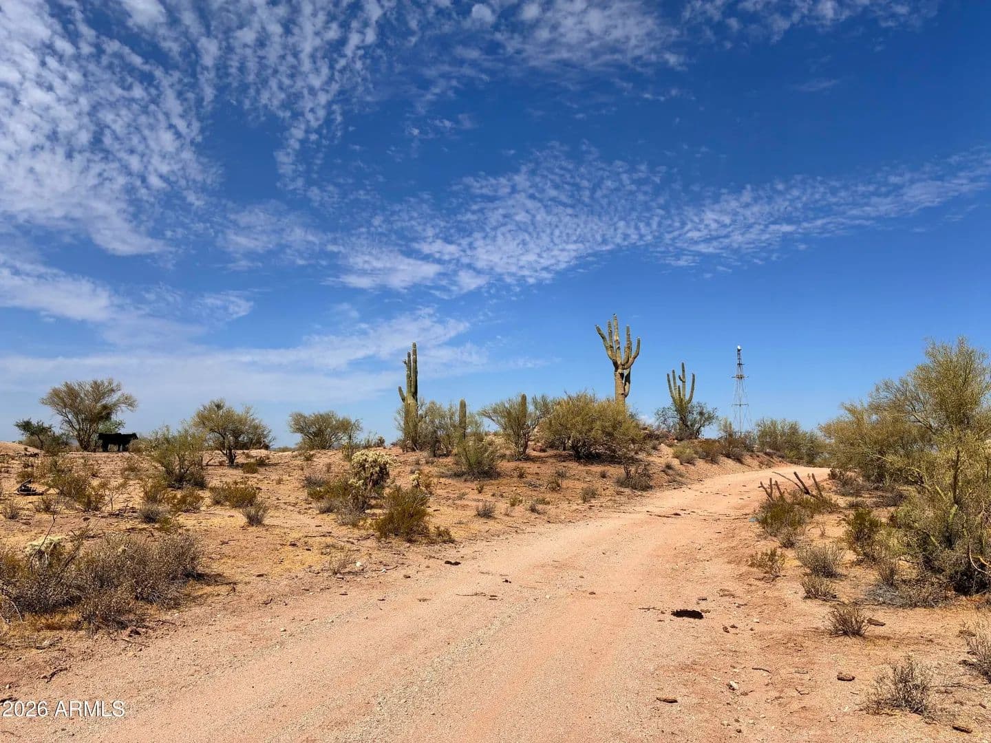38.03 Acres of Land for Sale in Florence, AZ - Florence, Arizona, 85132