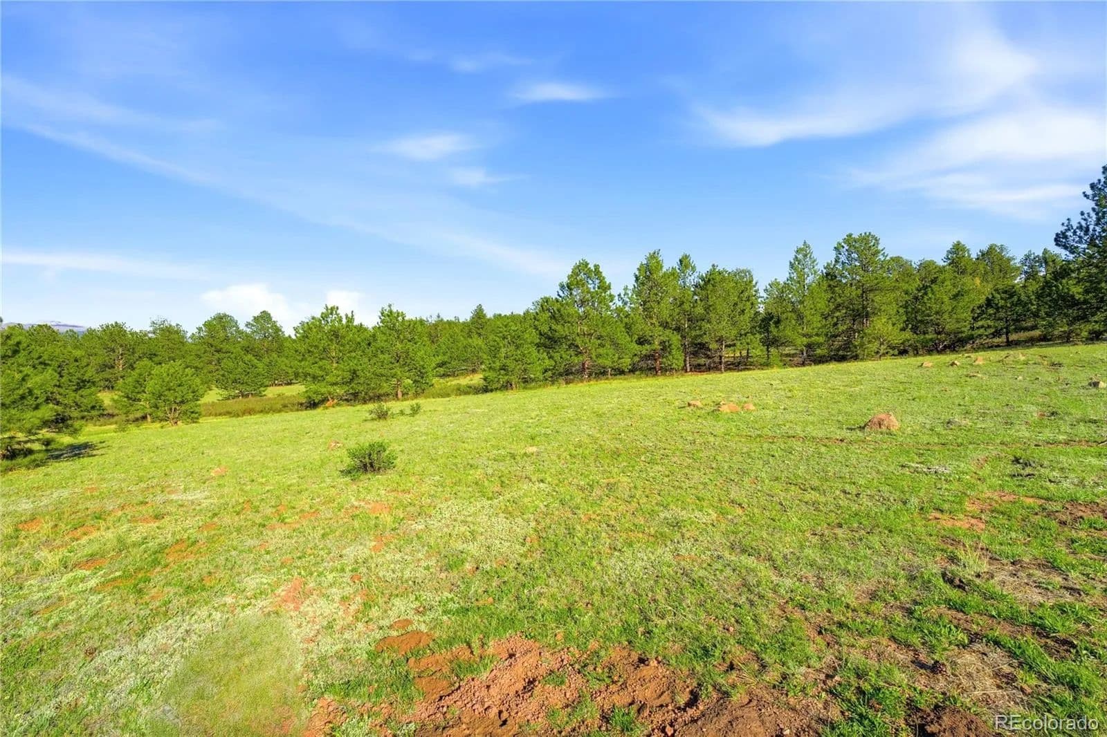 20 Acres of Land for Sale in Guffey, CO - Guffey, Colorado, 80820