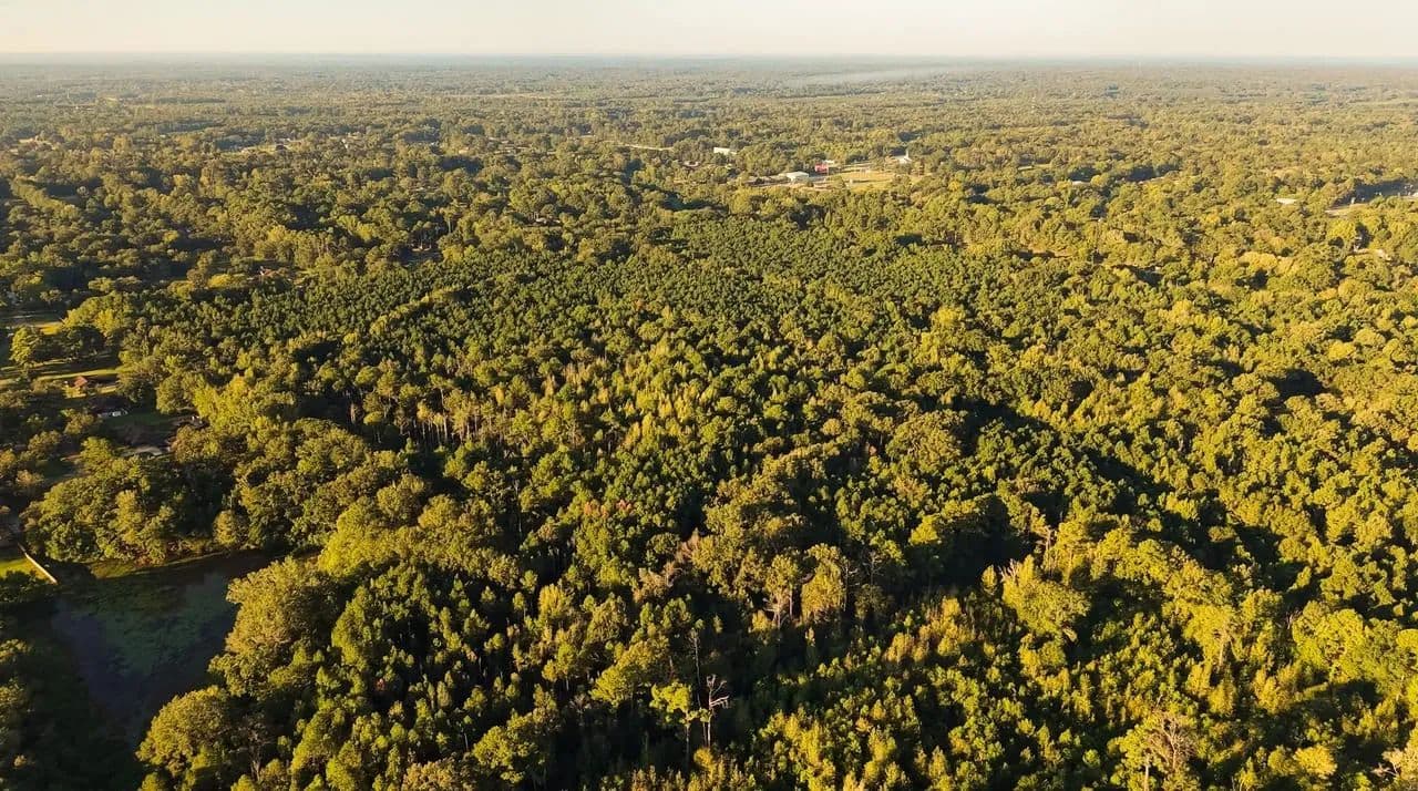 147.5+/- Acres-Hinds County - Jackson, Mississippi, 39212