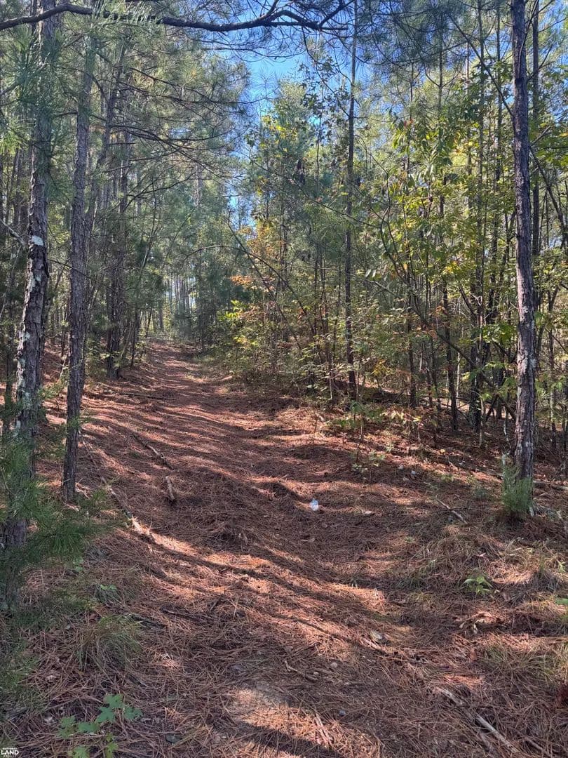 Amanda Park 4.5 Acres - Talladega, Alabama, 35160
