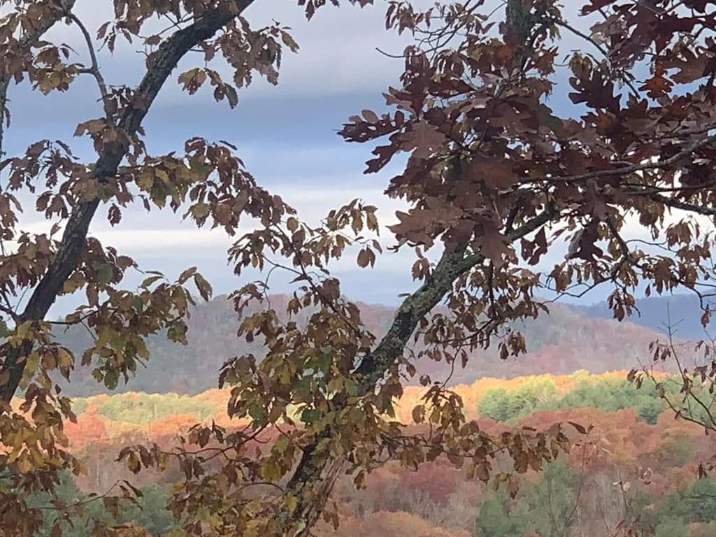 1.46 Acres of Land for Sale in Brasstown, NC - Brasstown, North Carolina, 28902