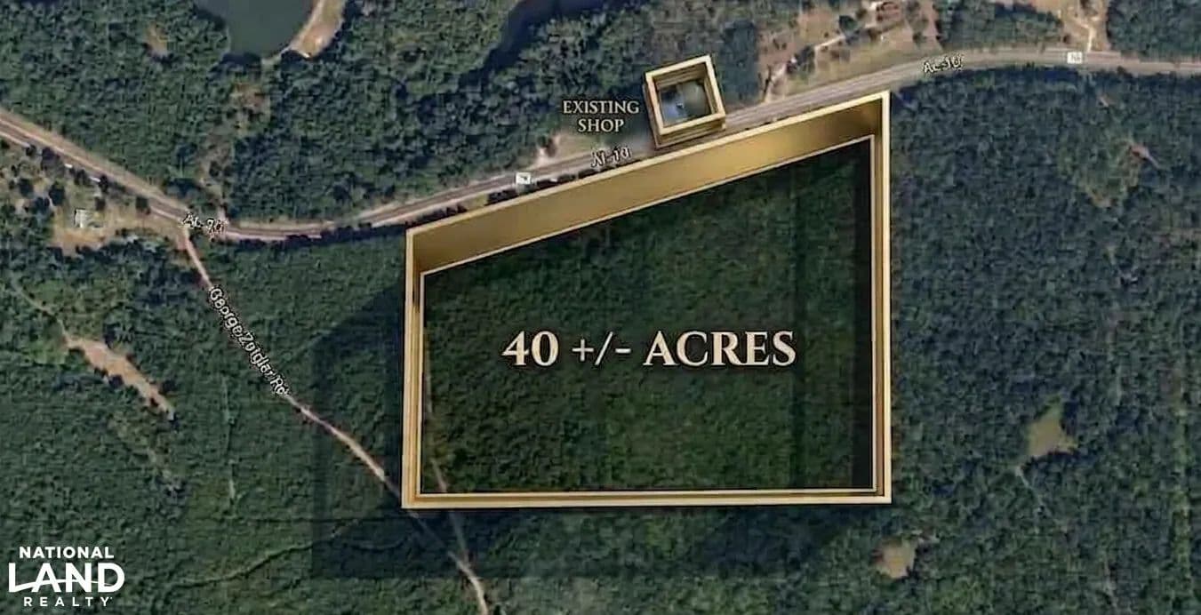 Awin Highway 10 Homesite & Hunting Tract - Pine Apple, Alabama, 36768