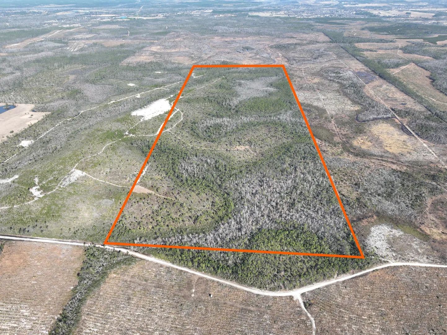 Bay County 213 Acres - Panama City, Florida, 32404