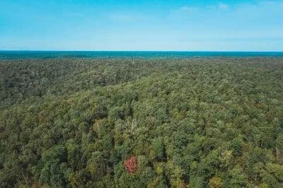 Ripley Recreational Retreat 207