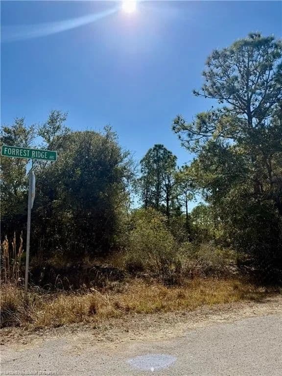 Lots & Land-Other in Lake Placid - Lake Placid, Florida, 33852