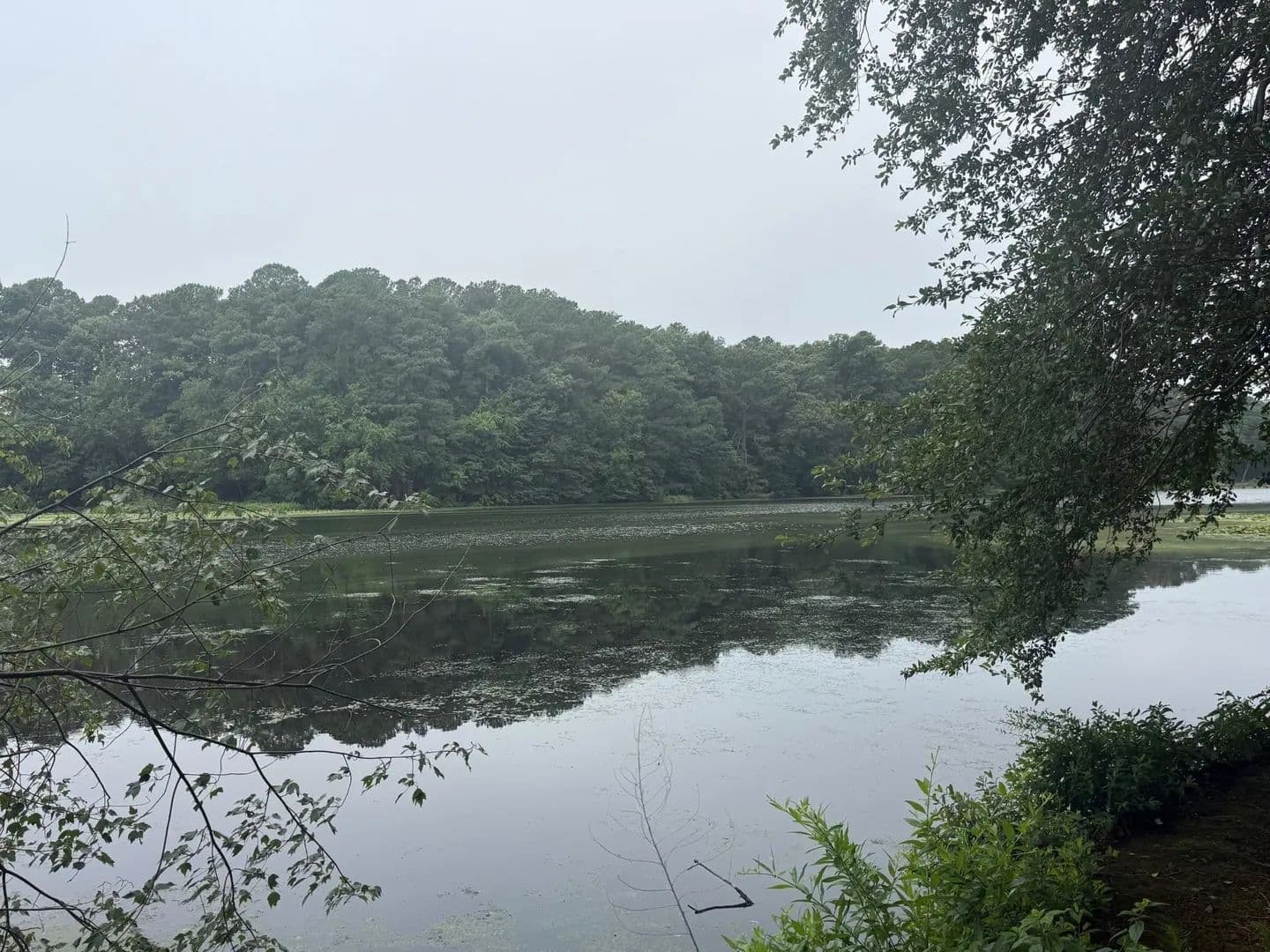 Lots & Land-Other in SALISBURY - Salisbury, Maryland, 21801