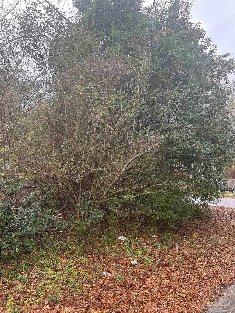 Vacant Land in Brewton - Brewton, Alabama, 36426