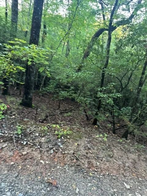 Lots & Land-Other in Dawsonville - Dawsonville, Georgia, 30534