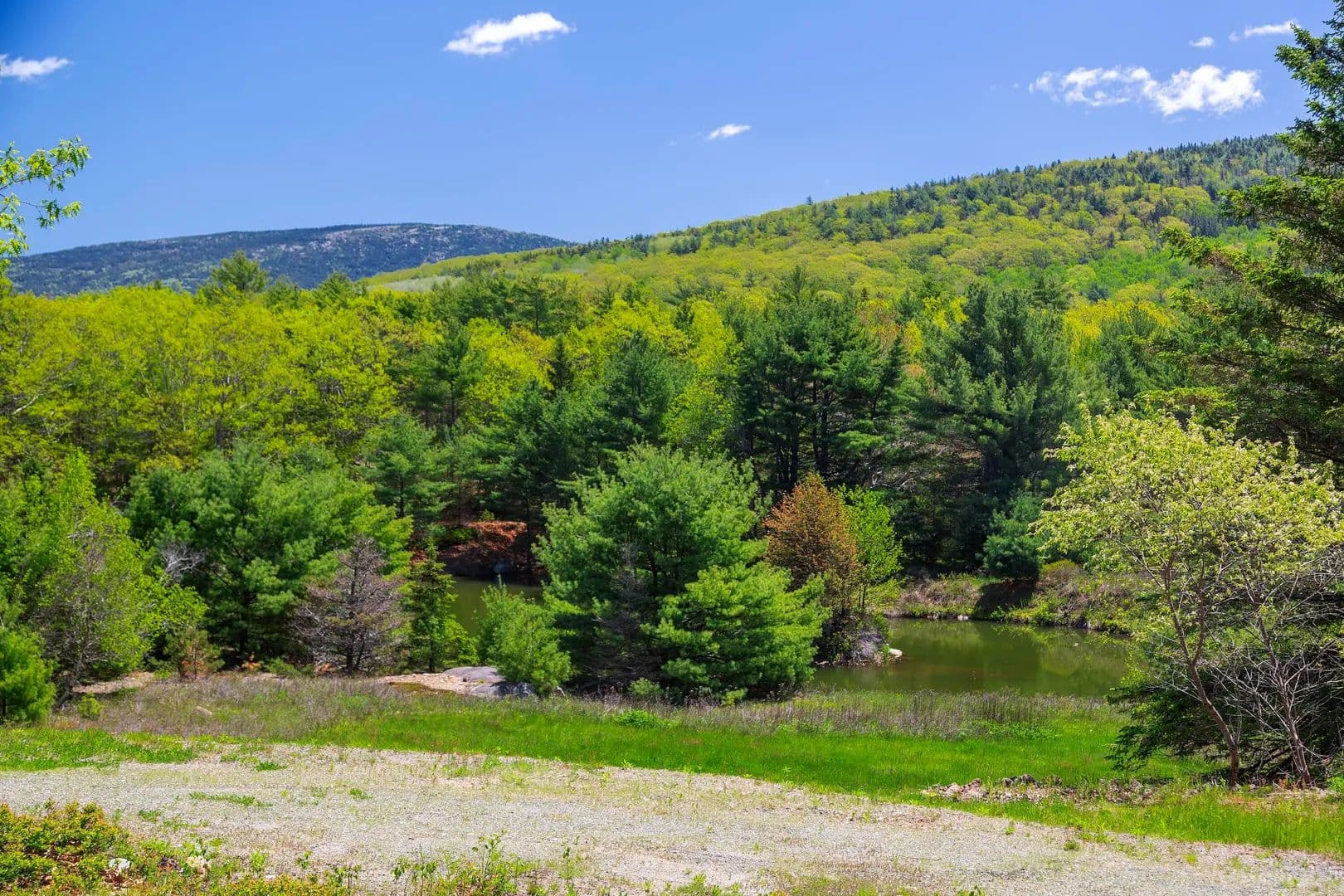 49.2 Acres of Land for Sale in Hancock County, Maine - Maine, 04660