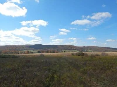 Baker Schoolhouse Bliss