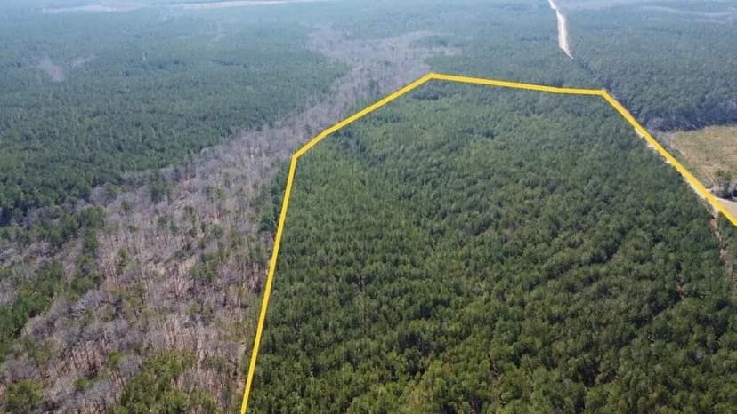 Lots & Land-Other in Washington