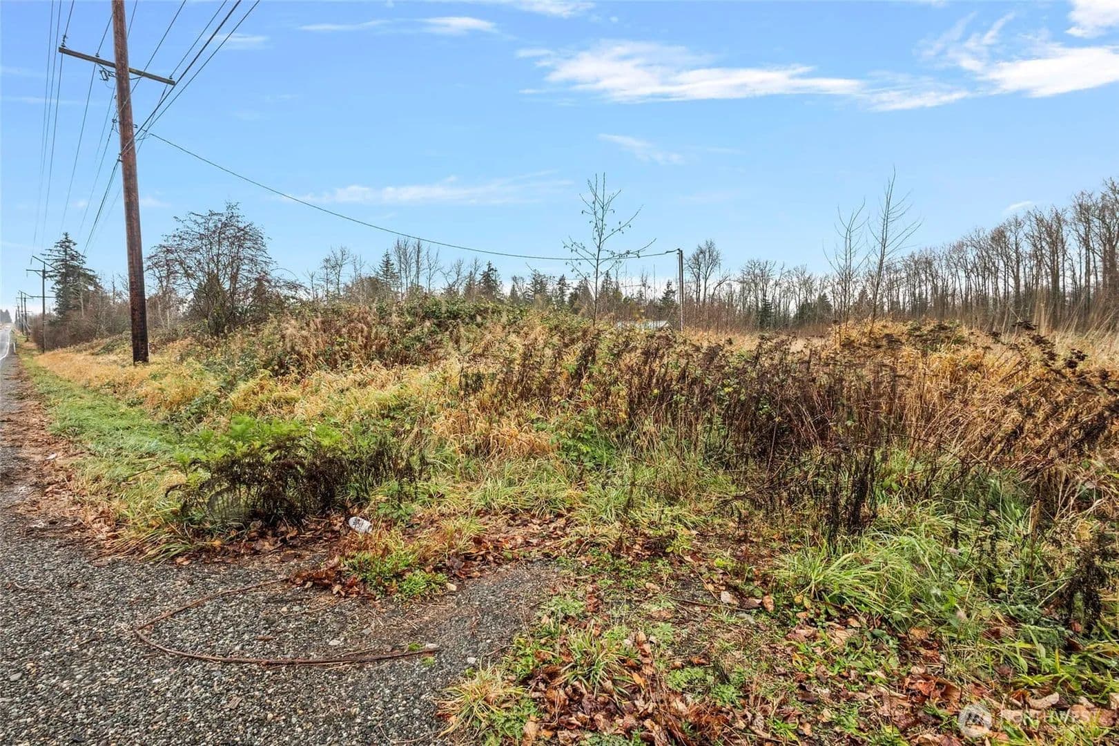 13.7 Acres of Land for Sale in Ferndale, WA - Ferndale, Washington, 98248